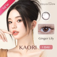 (NEW) PEGAVISION คอนแทคเลนส์สี รายวัน รุ่น KAORI สี Ginger Lily (10 เลนส์/กล่อง)