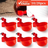 Automatic Poultry Drinking Bowl 5 10 20 Pcs Chicken Waterer Cup For Ducks Geese