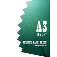 Jasmine Dark Green A3 Art Paper Paper A3