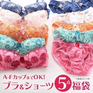 Lace Design Bra and Panty Lucky Bag (5 Sets)(A48X007AF)(Direct from Japan)