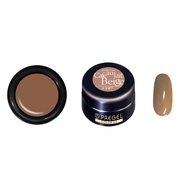 PREGEL EX Color Glue 107 4g