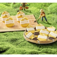 2452Bộ 8 miếng bông mút AMORTALS tự xé siêu mềm mại trong BST " Nông Trại Bông Mút" Chính Hãng Cao C