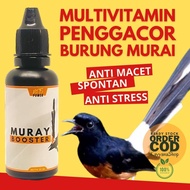 30 ML OBAT MURAI CABUT BULU / OBAT MURAI SAKIT / OBAT MURAI MABUNG / OBAT MURAI BATU SERAK / VITAMIN