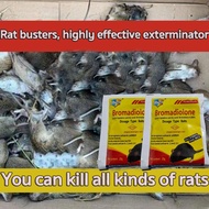 【HOME GUARDER】 big rat killer poison food powder racumin rodenticide rat poison killer for rat kille