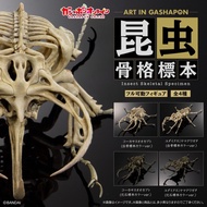 [預訂/Pre Order] 扭蛋 ART IN GASHAPON INSECT SKELETON SPECIMEN | GASHAPON藝術系列 昆蟲骨架標本 (全套4款)
