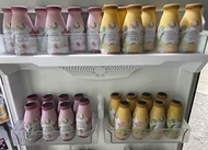 Milk Plus & More น้ำหัวปลี คละ2รส 48 ขวด (ดั้งเดิม+ขิง) เพิ่มน้ำนม บำรุงครรภ์