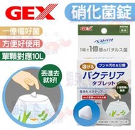 蝦兵蟹將【日本 GEX-五味】硝化菌錠(散裝)【一顆】水質護理 飼料分解 有機物 殘餌 穩定水質 養水 開缸 小魚缸