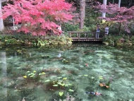 名古屋、岐阜自由行-吉卜力公園、合掌村、莫內之池、馬籠宿