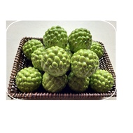 FR-15 Fake Fruit Little 7.5*7 Cm.