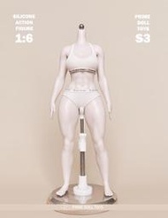 高雄詠揚 Q1預購 取付免訂 PDTOYS 1/6 可動鉑金矽膠女素體 PDTOYS-S3 S301 S302 6/5