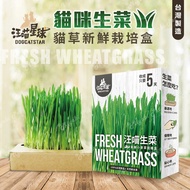 [Miabi Pets] Wangmiao Planet Cat Grass Fresh Cultivation Box-Cat Lettuce Snacks Planting Vegetables 