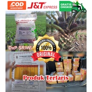 DxP SRIWIJAYA SJ5 UNGGUL DAPAT SERTIFIKAT