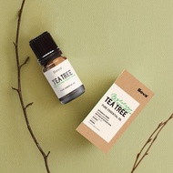 草本調 精油 迷迭香 尤加利 檸檬香茅 玫瑰草 10ml