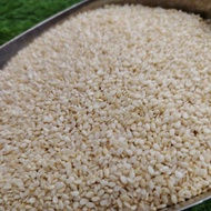 Bijan Putih/White Sesame 100gm