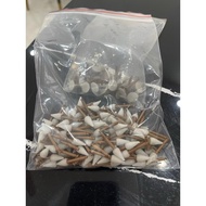 1 enhance bud-shaped tip specializes in polishing composite filling pads in dentistry.''