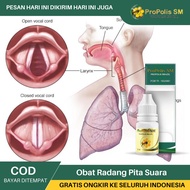 ProPolis SM Obat Pita Suara Bengkak Obat Infeksi Pita Suara Obat Peninggi Suara Suara Serak