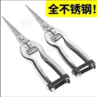 [Delivered from Taiwan] Gardening Shears Flowers Grass Fruit Tree Pointed Shears Fruits Vegetables F