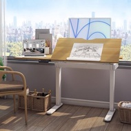 Flexispot 繪圖多功能 電動升降桌