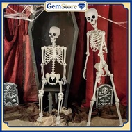 Human Skeleton Torso Model 90/ 40CM Human Skeleton Skull Frame Mini Adult Teaching Aid