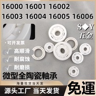 Zirconated All-Ceramic Bearing 16000 16001 16002 16003 16004 16005 16006 CE Corrosion Resistant High