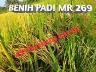 BENIH PADI MR 269 NEW ORIGINAL 5KG