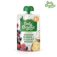 Only Organic กล้วย เบอร์รี &amp; โยเกิร์ต  Organic Baby foods 8+ Months