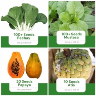 Sale All in 4 in 1 Pack Seeds (Pechay, Mustasa, Papaya, Atis) Vegetable Garden Pot Outdoor Plant