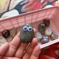 Pet Rock Pet Stone Toys Batu Peliharaan With Goggly Eyes Hard Toys