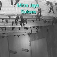 PROMO TERBATAS BESEK LEMBARAN PAPAN SIRIP WALET | COD