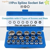 GORROS 19 Pcs Spline Socket Set, 8-32mm Metric 12 Point Socket Set, High Quality with  1/2" Drive 6-