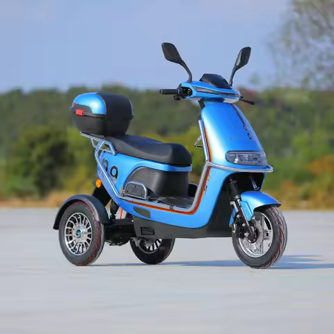 Wholesale 800W E Scooter Motorcycle 3 Wheel Electric Bike Tricycle Motorcycle for Adults