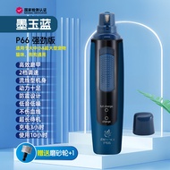 เครื่องสอยเล็บไฟฟ้าสำหรับสัตว์เลี้ยง เครื่องมือดูแลสุนัขและแมว Fenice P66 ชุดดูแลเล็บสำหรับสุนัขและแ