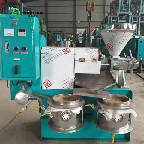 Customized Factory Price Small Cottonseed Oil Press Pumpkin Seed Neem Walnut Sesame Avocado Mustard 