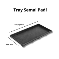 Tray Semai Padi Luckystar-Tray Padi Super Tebal-Tray Semai Khusus Padi