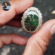 pirus Persia ijo dondong solid