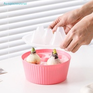 Auspiciousrui Hyacinth Tulip Seed Hydroponic Flowerpot 3/5Holes Pots For Plants Soilless Plant Pot L