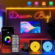 60D neon light accessories