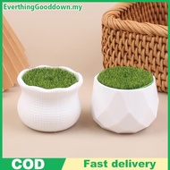 Ed 5Pcs Flower Pot Round Planters With Artificial Lawn Vase White Plastic Thi Plants Flower Pot Home