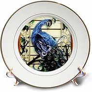 3dRose cp_25288_1 Peacock Proud Porcelain Plate, 8"