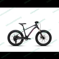 Sepeda Anak BMX Polygon Xtrada 20