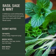 Basil Sage & Mint Fragrance Oil