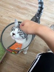 代購 淘寶、拼多多、京東