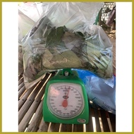 ℡ ◮ ◨ Kakawate Madre De Cacao Leaves / Cuttings 200g