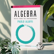 Algebra Notes from the Underground by Paolo Aluffi