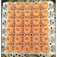 Making Egg Mold Mold Eggshell Shape Household Real Steam Commercial Northeast Egg Plastic Steam Barb