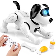 Beria Toys for 3-8 Year Old Kids: Remote Control Robot Dog Toy Aged 3 4 5 6 7 8 9 10 Year Old Boys G