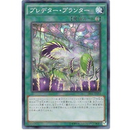 SPFE-JP011 Feeding Flowerpot (Bright Side) Shrimp 8 Shots 4 Xiangyu 08 SPFE