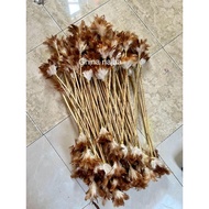 Papuan traditional dance feather stick.