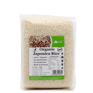 Lohas Japonica Rice 900g Organic Fluffy Rice (Sushi rice | Pearl Rice | Short Rice | Japanese Rice)