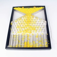 Large Galton Board Probability Demonstrator, 40.5x30.5cm